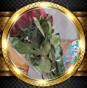 Meet your Posher, Geraine